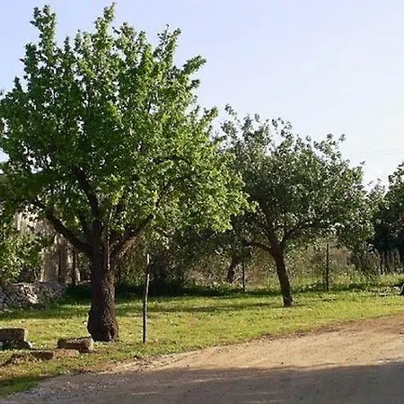 Terra Di Pace *
