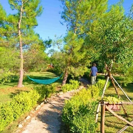 Terra Di Pace Alloggio per agriturismo