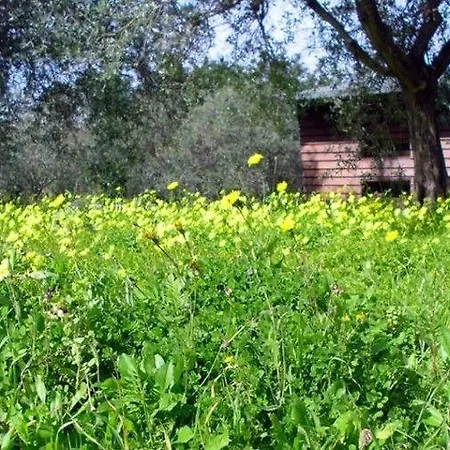 Terra Di Pace