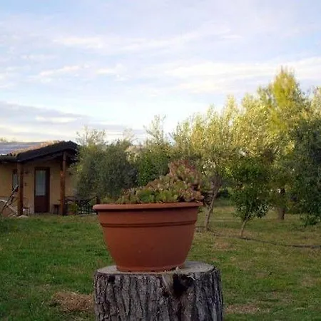 Terra Di Pace Noto