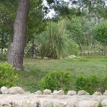 Terra Di Pace *