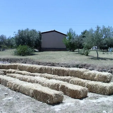Terra Di Pace *