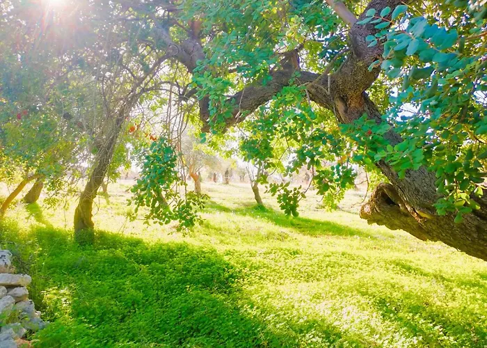 Terra Di Pace * نوتو